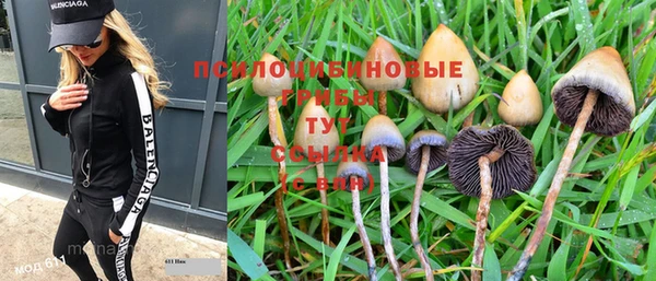 стаф Вязники