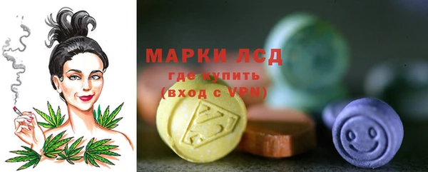 стаф Вязники