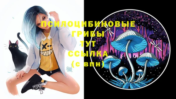 стаф Вязники