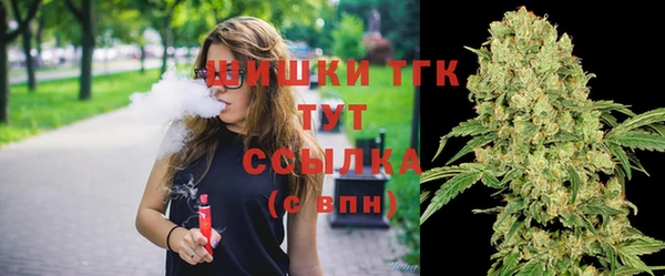 стаф Вязники