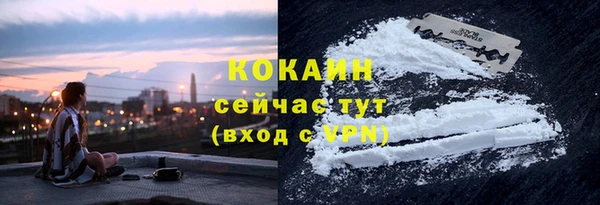 стаф Вязники