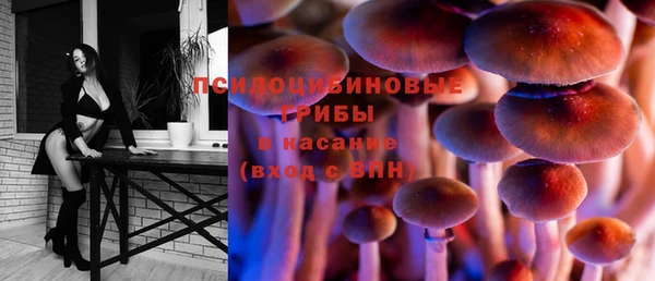 герыч Вяземский