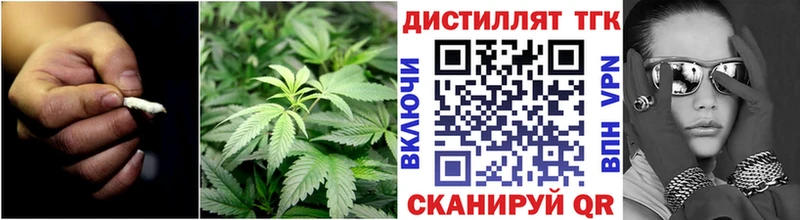 ТГК THC oil Купить где Серов